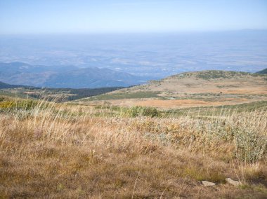Bulgaristan 'ın Cherni Vrah zirvesi yakınlarındaki Vitosha Dağı' nın şaşırtıcı sonbahar manzarası