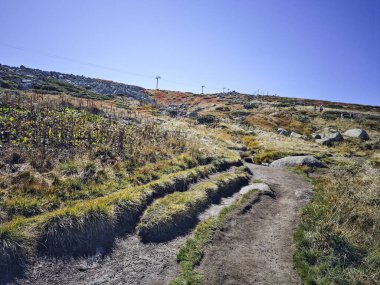 Bulgaristan 'ın Cherni Vrah zirvesi yakınlarındaki Vitosha Dağı' nın şaşırtıcı sonbahar manzarası