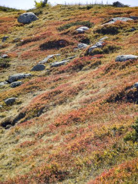 Bulgaristan 'ın Cherni Vrah zirvesi yakınlarındaki Vitosha Dağı' nın şaşırtıcı sonbahar manzarası