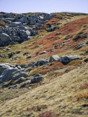Bulgaristan 'ın Cherni Vrah zirvesi yakınlarındaki Vitosha Dağı' nın şaşırtıcı sonbahar manzarası