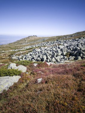 Bulgaristan 'ın Cherni Vrah zirvesi yakınlarındaki Vitosha Dağı' nın şaşırtıcı sonbahar manzarası