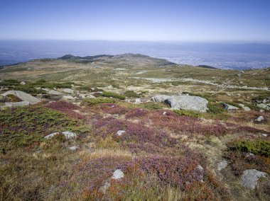 Bulgaristan 'ın Cherni Vrah zirvesi yakınlarındaki Vitosha Dağı' nın şaşırtıcı sonbahar manzarası