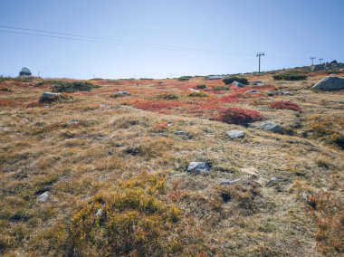 Bulgaristan 'ın Cherni Vrah zirvesi yakınlarındaki Vitosha Dağı' nın şaşırtıcı sonbahar manzarası