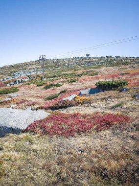 Bulgaristan 'ın Cherni Vrah zirvesi yakınlarındaki Vitosha Dağı' nın şaşırtıcı sonbahar manzarası