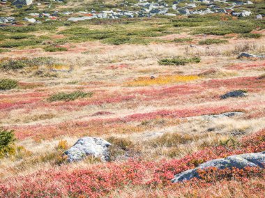 Bulgaristan 'ın Cherni Vrah zirvesi yakınlarındaki Vitosha Dağı' nın şaşırtıcı sonbahar manzarası