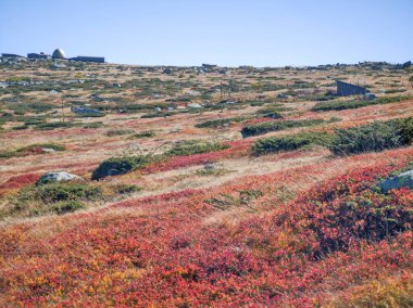 Bulgaristan 'ın Cherni Vrah zirvesi yakınlarındaki Vitosha Dağı' nın şaşırtıcı sonbahar manzarası