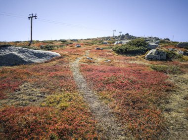 Bulgaristan 'ın Cherni Vrah zirvesi yakınlarındaki Vitosha Dağı' nın şaşırtıcı sonbahar manzarası
