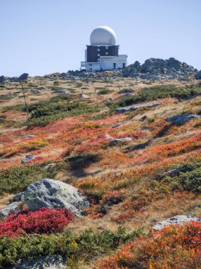 Bulgaristan 'ın Cherni Vrah zirvesi yakınlarındaki Vitosha Dağı' nın şaşırtıcı sonbahar manzarası