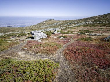 Bulgaristan 'ın Cherni Vrah zirvesi yakınlarındaki Vitosha Dağı' nın şaşırtıcı sonbahar manzarası