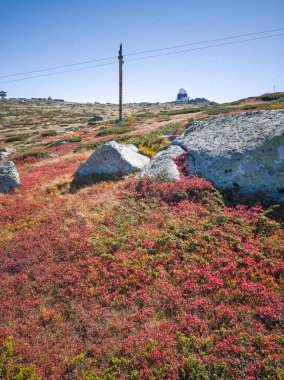 Bulgaristan 'ın Cherni Vrah zirvesi yakınlarındaki Vitosha Dağı' nın şaşırtıcı sonbahar manzarası