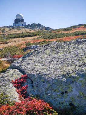 Bulgaristan 'ın Cherni Vrah zirvesi yakınlarındaki Vitosha Dağı' nın şaşırtıcı sonbahar manzarası