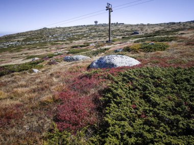 Bulgaristan 'ın Cherni Vrah zirvesi yakınlarındaki Vitosha Dağı' nın şaşırtıcı sonbahar manzarası