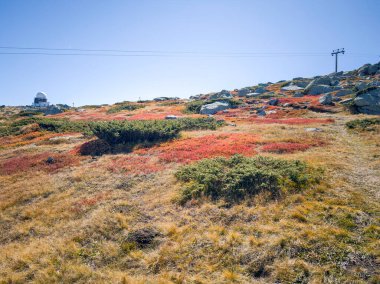 Bulgaristan 'ın Cherni Vrah zirvesi yakınlarındaki Vitosha Dağı' nın şaşırtıcı sonbahar manzarası