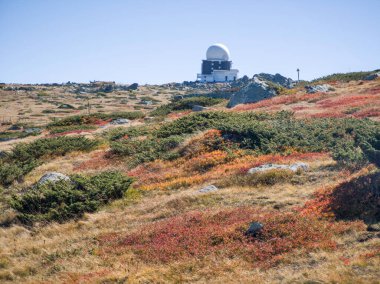 Bulgaristan 'ın Cherni Vrah zirvesi yakınlarındaki Vitosha Dağı' nın şaşırtıcı sonbahar manzarası