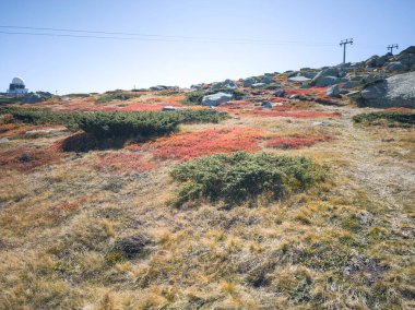 Bulgaristan 'ın Cherni Vrah zirvesi yakınlarındaki Vitosha Dağı' nın şaşırtıcı sonbahar manzarası