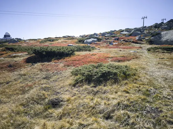 Bulgaristan 'ın Cherni Vrah zirvesi yakınlarındaki Vitosha Dağı' nın şaşırtıcı sonbahar manzarası
