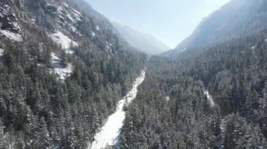 Bulgaristan 'ın Sofya Bölgesi Beli Iskar köyü yakınlarındaki Rila Dağı' nın kış manzarası