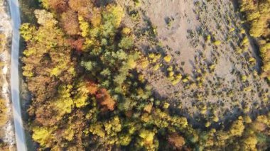 Bulgaristan 'ın Filibe Bölgesi Borovo kasabası yakınlarındaki Rodop dağının şaşırtıcı sonbahar manzarası