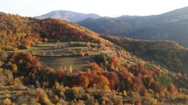 Bulgaristan 'ın Filibe Bölgesi Borovo kasabası yakınlarındaki Rodop dağının şaşırtıcı sonbahar manzarası