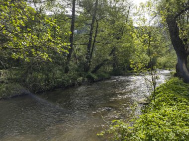Bulgaristan 'ın başkenti Sofya' nın Pancharevo Gölü yakınlarındaki Iskar Nehri 'nin Bahar Manzarası