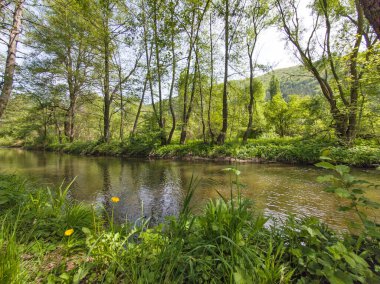 Bulgaristan 'ın başkenti Sofya' nın Pancharevo Gölü yakınlarındaki Iskar Nehri 'nin Bahar Manzarası