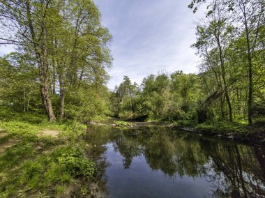 Bulgaristan 'ın başkenti Sofya' nın Pancharevo Gölü yakınlarındaki Iskar Nehri 'nin Bahar Manzarası