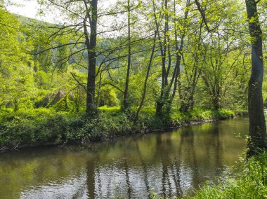 Bulgaristan 'ın başkenti Sofya' nın Pancharevo Gölü yakınlarındaki Iskar Nehri 'nin Bahar Manzarası