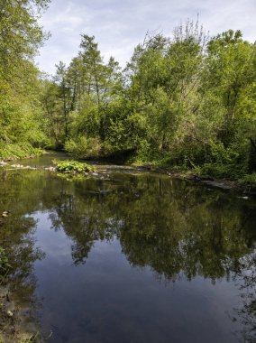 Bulgaristan 'ın başkenti Sofya' nın Pancharevo Gölü yakınlarındaki Iskar Nehri 'nin Bahar Manzarası