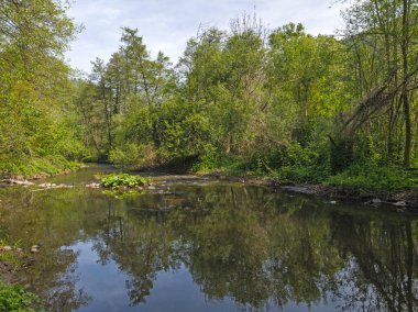 Bulgaristan 'ın başkenti Sofya' nın Pancharevo Gölü yakınlarındaki Iskar Nehri 'nin Bahar Manzarası