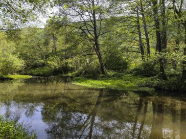 Bulgaristan 'ın başkenti Sofya' nın Pancharevo Gölü yakınlarındaki Iskar Nehri 'nin Bahar Manzarası