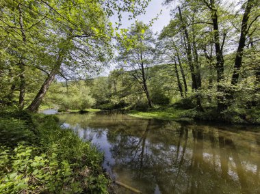 Bulgaristan 'ın başkenti Sofya' nın Pancharevo Gölü yakınlarındaki Iskar Nehri 'nin Bahar Manzarası