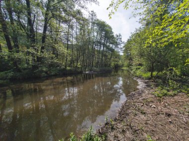Bulgaristan 'ın başkenti Sofya' nın Pancharevo Gölü yakınlarındaki Iskar Nehri 'nin Bahar Manzarası
