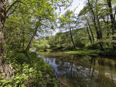Bulgaristan 'ın başkenti Sofya' nın Pancharevo Gölü yakınlarındaki Iskar Nehri 'nin Bahar Manzarası