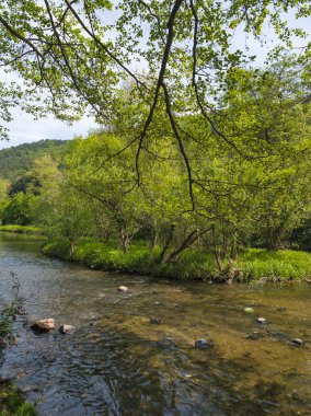 Bulgaristan 'ın başkenti Sofya' nın Pancharevo Gölü yakınlarındaki Iskar Nehri 'nin Bahar Manzarası
