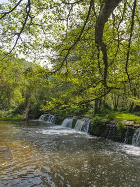 Bulgaristan 'ın başkenti Sofya' nın Pancharevo Gölü yakınlarındaki Iskar Nehri 'nin Bahar Manzarası