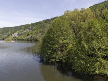 Bulgaristan 'ın başkenti Sofya' nın Pancharevo Gölü yakınlarındaki Iskar Nehri 'nin Bahar Manzarası