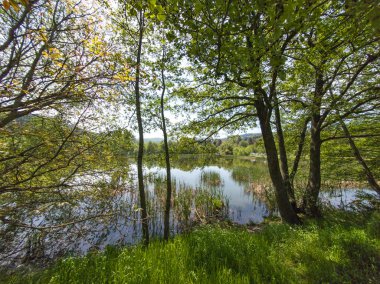 Bulgaristan 'ın başkenti Sofya' nın Pancharevo Gölü yakınlarındaki Iskar Nehri 'nin Bahar Manzarası