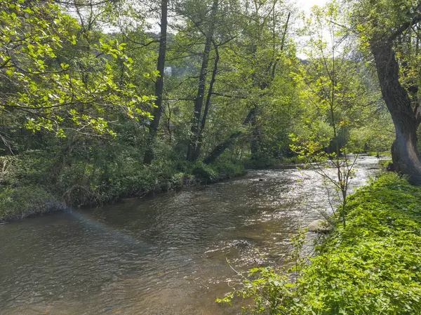 Bulgaristan 'ın başkenti Sofya' nın Pancharevo Gölü yakınlarındaki Iskar Nehri 'nin Bahar Manzarası