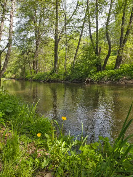 Bulgaristan 'ın başkenti Sofya' nın Pancharevo Gölü yakınlarındaki Iskar Nehri 'nin Bahar Manzarası