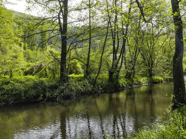 Bulgaristan 'ın başkenti Sofya' nın Pancharevo Gölü yakınlarındaki Iskar Nehri 'nin Bahar Manzarası