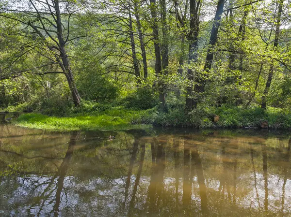 Bulgaristan 'ın başkenti Sofya' nın Pancharevo Gölü yakınlarındaki Iskar Nehri 'nin Bahar Manzarası