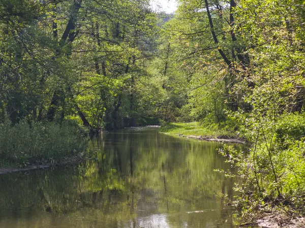 Bulgaristan 'ın başkenti Sofya' nın Pancharevo Gölü yakınlarındaki Iskar Nehri 'nin Bahar Manzarası