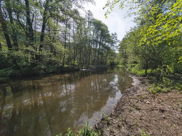 Bulgaristan 'ın başkenti Sofya' nın Pancharevo Gölü yakınlarındaki Iskar Nehri 'nin Bahar Manzarası
