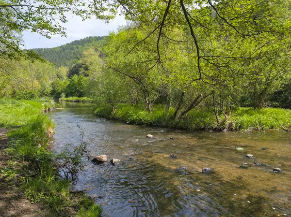 Bulgaristan 'ın başkenti Sofya' nın Pancharevo Gölü yakınlarındaki Iskar Nehri 'nin Bahar Manzarası