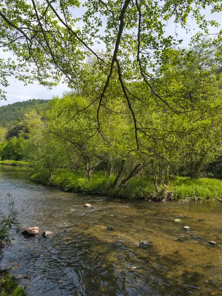 Bulgaristan 'ın başkenti Sofya' nın Pancharevo Gölü yakınlarındaki Iskar Nehri 'nin Bahar Manzarası
