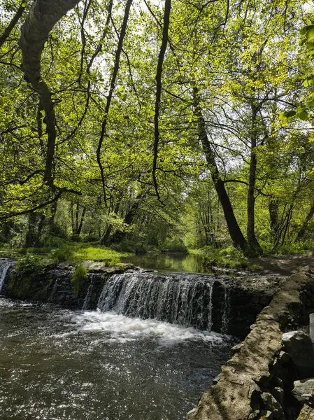 Bulgaristan 'ın başkenti Sofya' nın Pancharevo Gölü yakınlarındaki Iskar Nehri 'nin Bahar Manzarası
