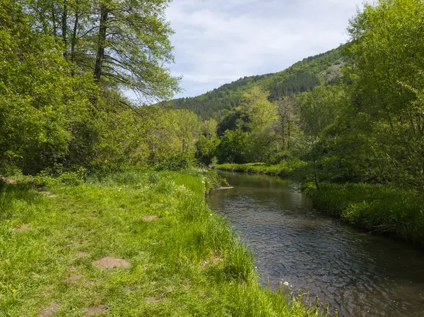 Bulgaristan 'ın başkenti Sofya' nın Pancharevo Gölü yakınlarındaki Iskar Nehri 'nin Bahar Manzarası