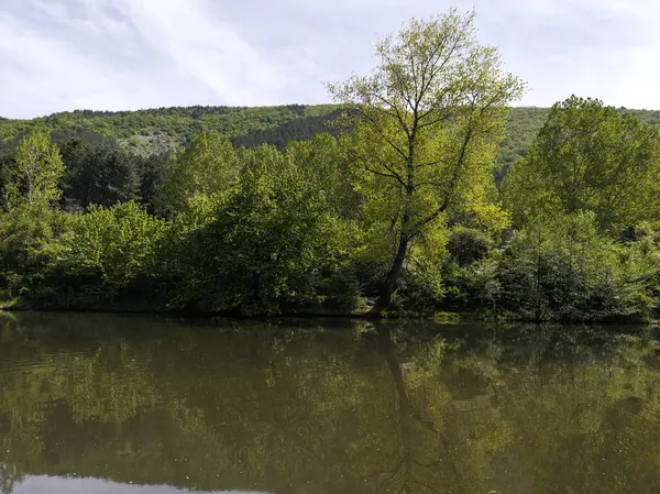 Bulgaristan 'ın başkenti Sofya' nın Pancharevo Gölü yakınlarındaki Iskar Nehri 'nin Bahar Manzarası