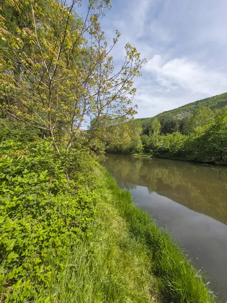Bulgaristan 'ın başkenti Sofya' nın Pancharevo Gölü yakınlarındaki Iskar Nehri 'nin Bahar Manzarası
