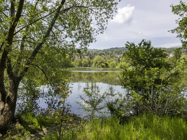 Bulgaristan 'ın başkenti Sofya' nın Pancharevo Gölü yakınlarındaki Iskar Nehri 'nin Bahar Manzarası